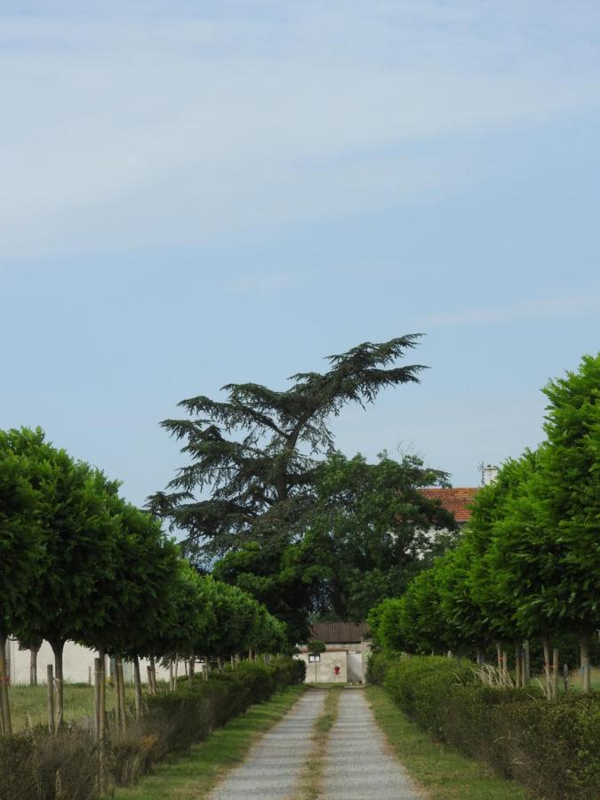 Pommiers-en-Forez Domaine De Laverchere المظهر الخارجي الصورة