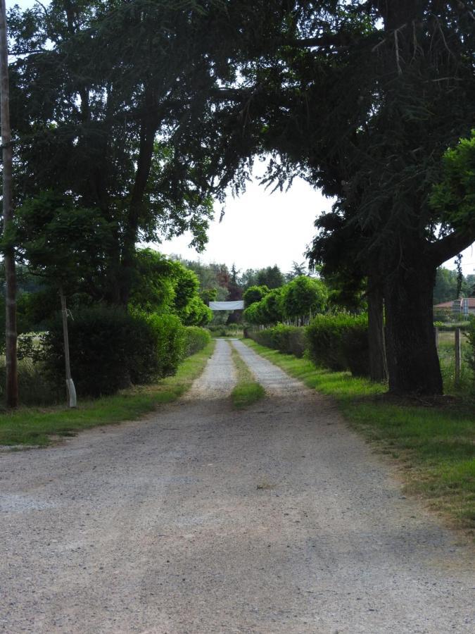 Pommiers-en-Forez Domaine De Laverchere المظهر الخارجي الصورة
